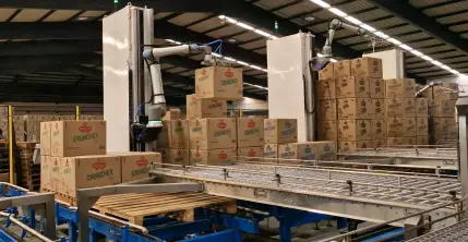 Advanced conveyor system machinery