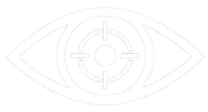 vision vision